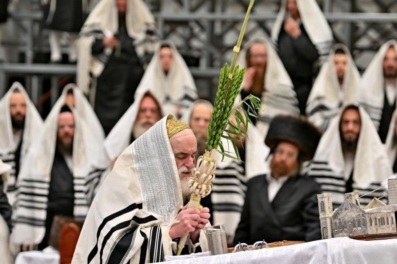 יהושע פרוכטר