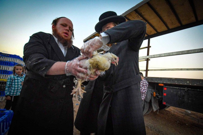 ארי קופרשטוק