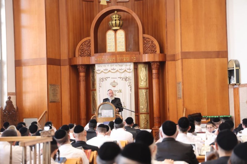 שלומי טריכטר