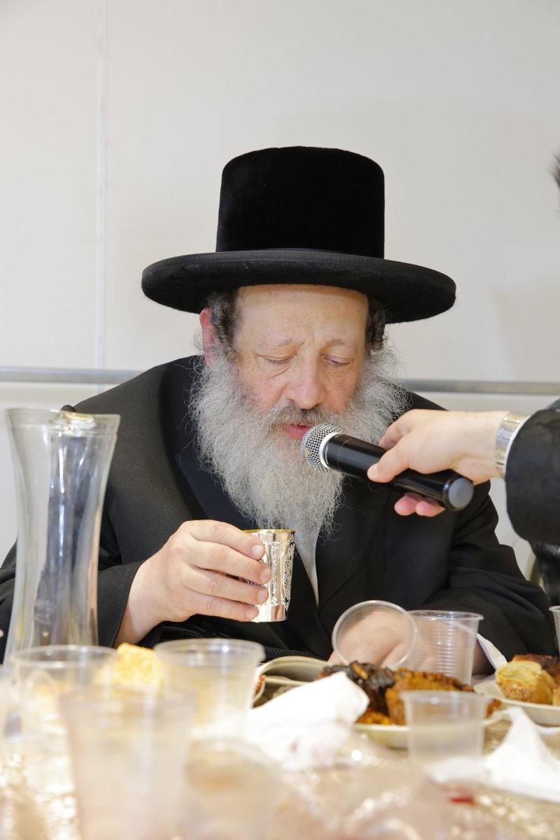 ב. מיכאלי וא.שטול