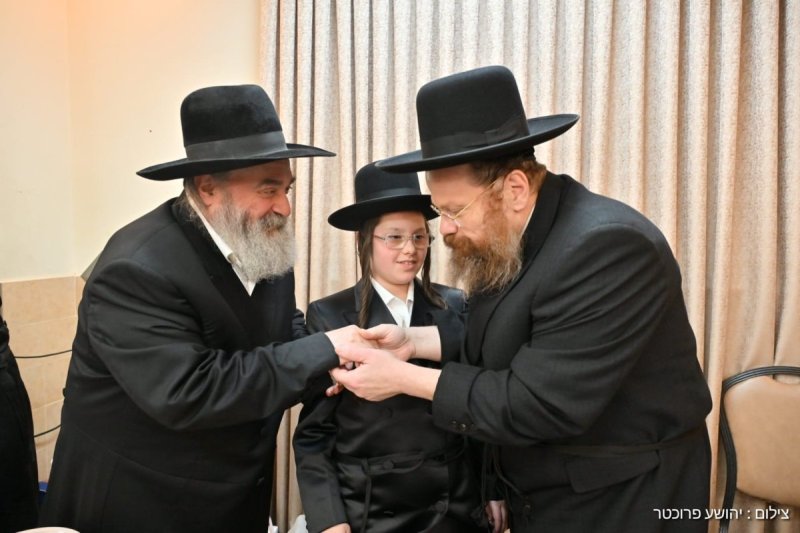 יהושע פרוכטר