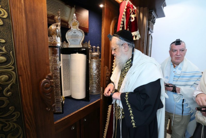 יעקב כהן
