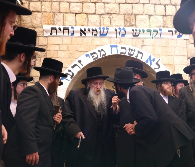 דוד כהן
