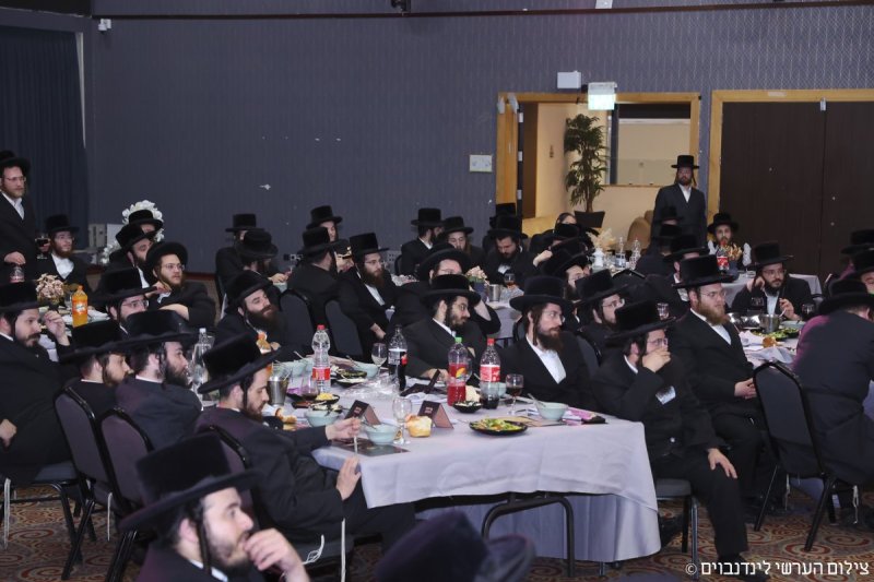 הערשי לינדנבוים