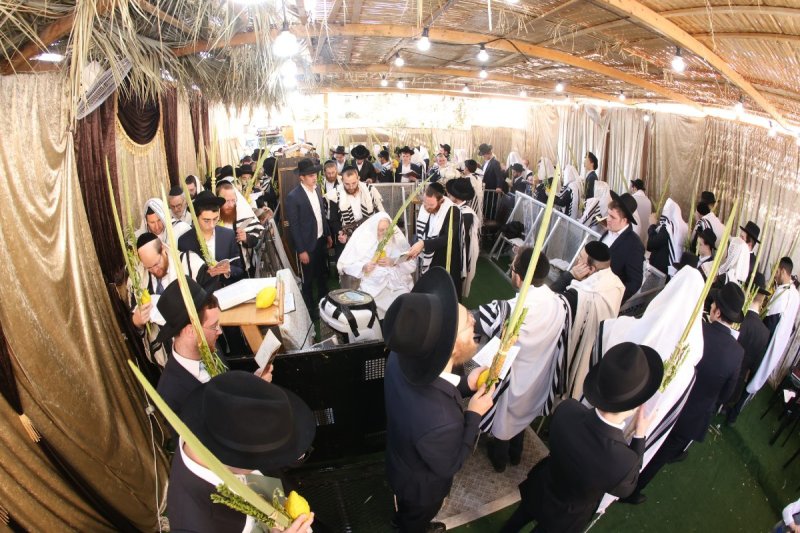 שוקי לרר ושמואל דריי