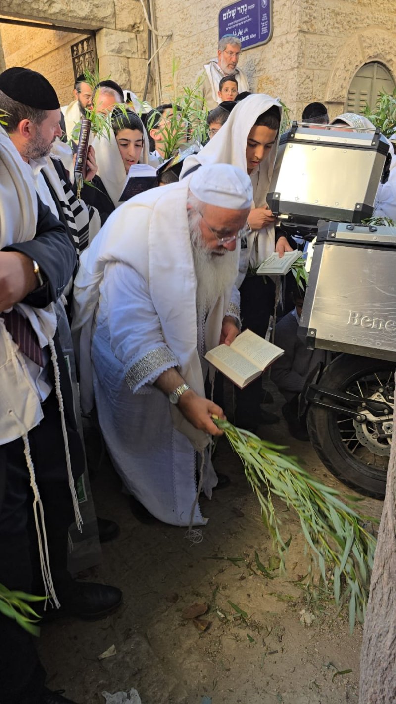 שלומי טריכטר ומ.פ