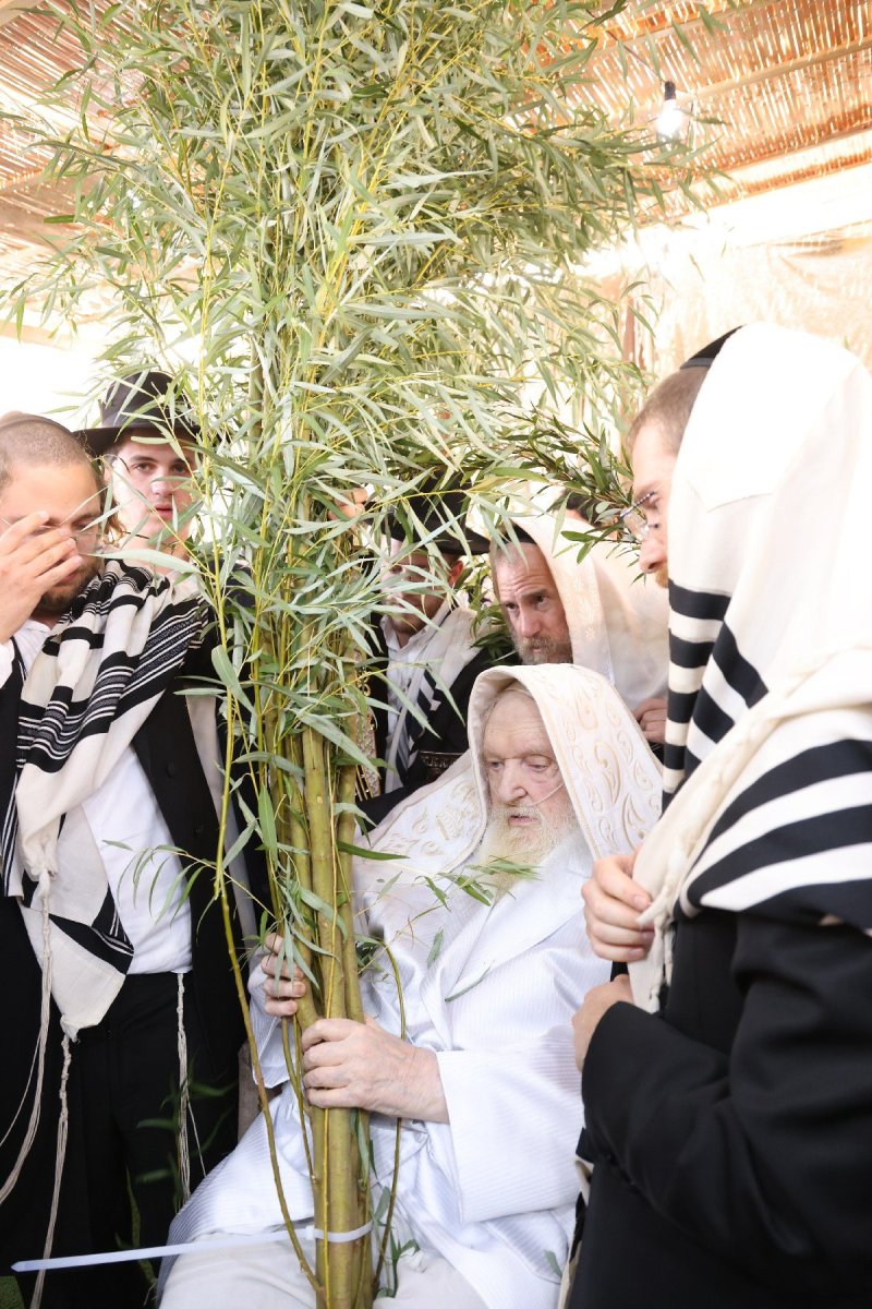 שוקי לרר ושמואל דריי