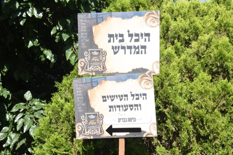 יהודה פרקוביץ