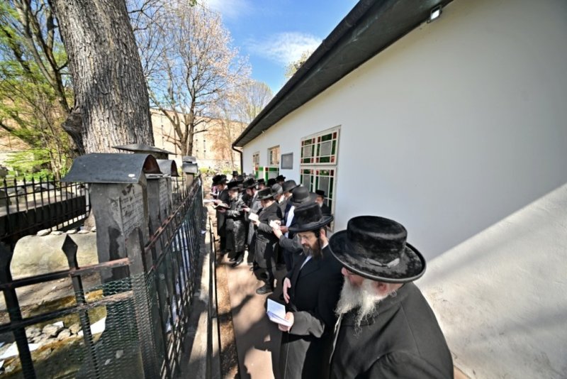 יהושע פרוכטר