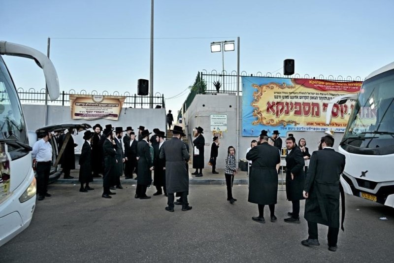 יהושע פרוכטר