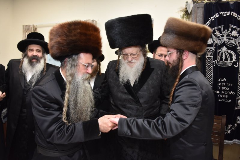 יהודה פרקוביץ