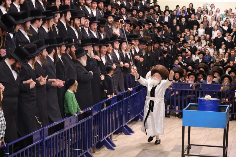 שימי פ.