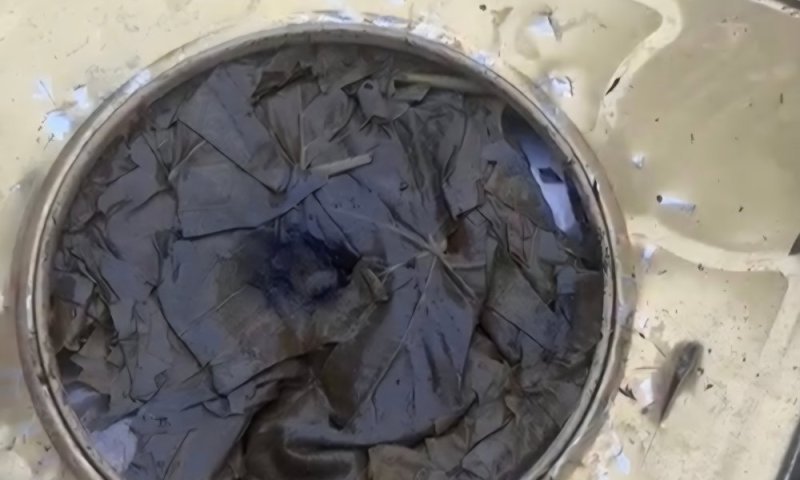 ניסיון הברחה חריג לרצועת עזה: הוקפא אישור החברה להכניס סיוע