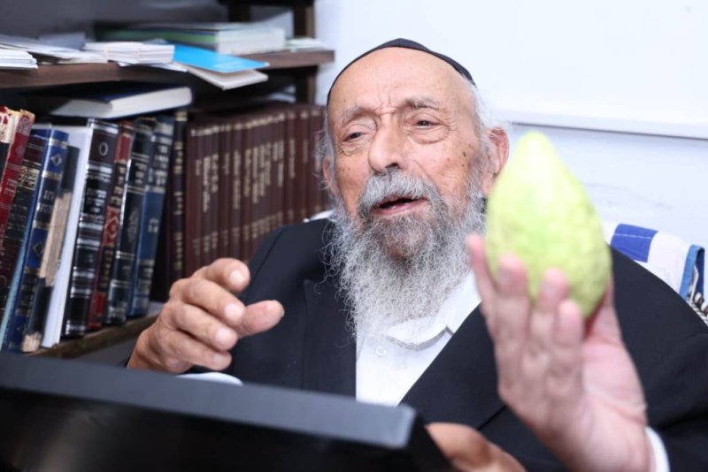 דוד ארזני