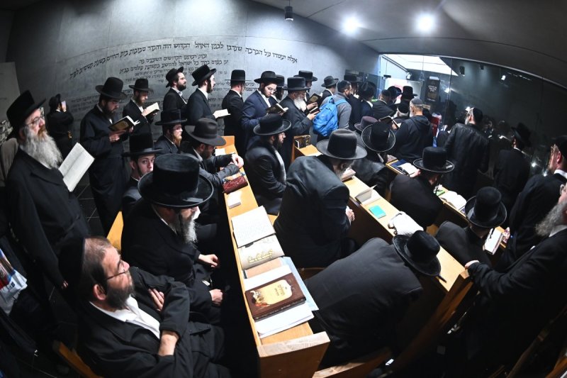 שוקי לרר