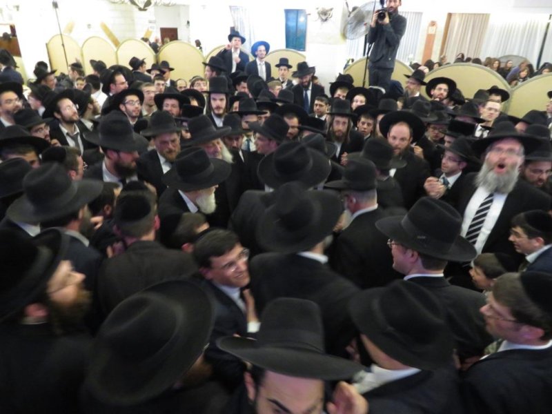 שלומי טריכטר