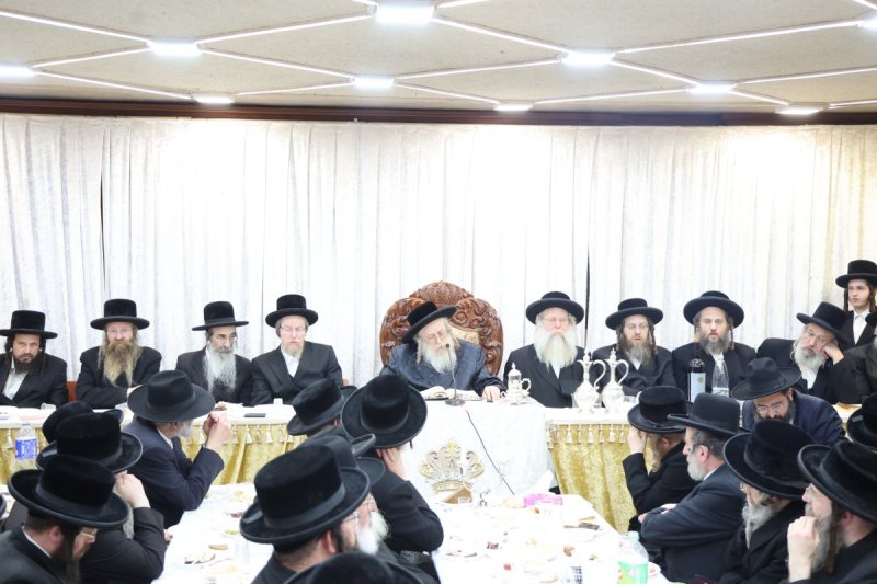 שלומי טריכטר