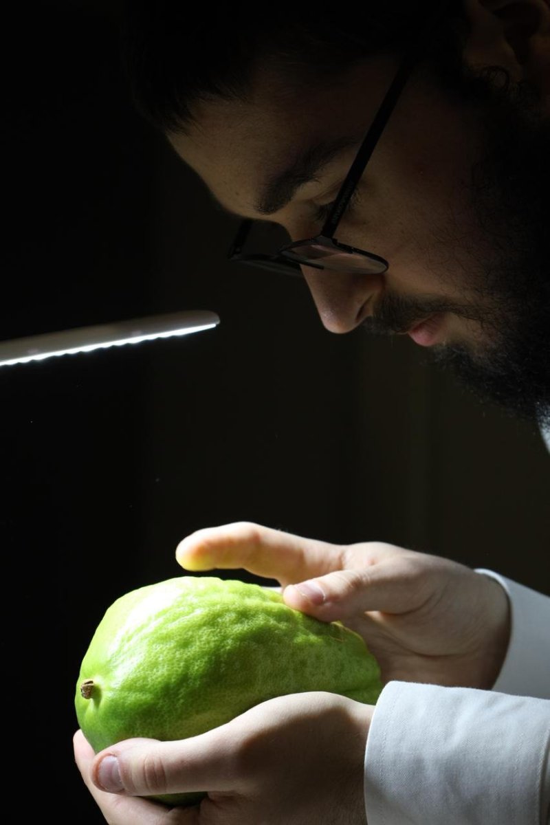 פדרציית הקהילות היהודיות באוקראינה