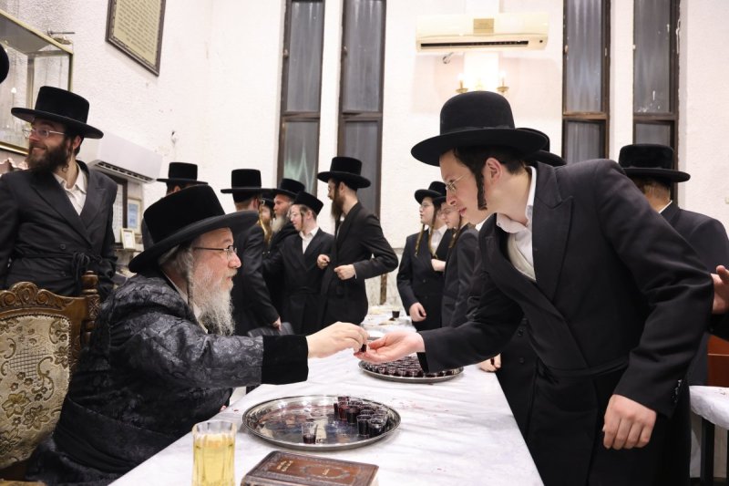 נתי אמרגי
