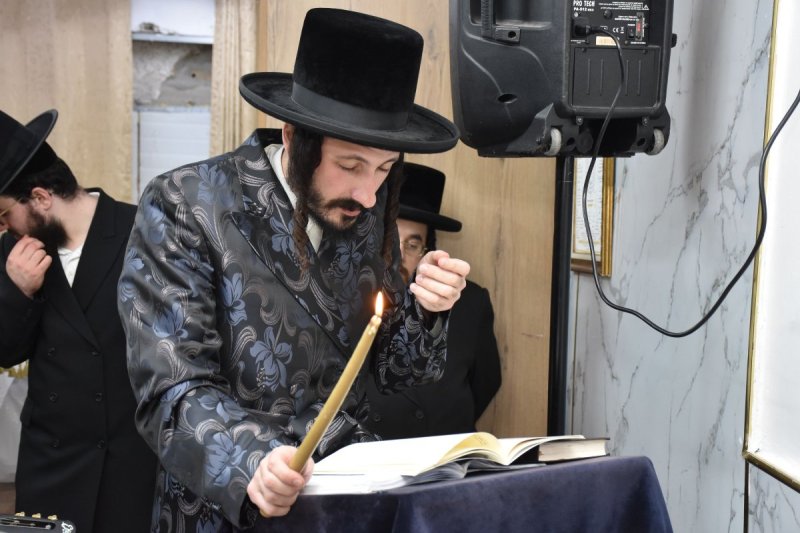 יהודה פרקוביץ