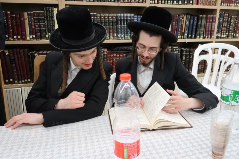 מ. שיין