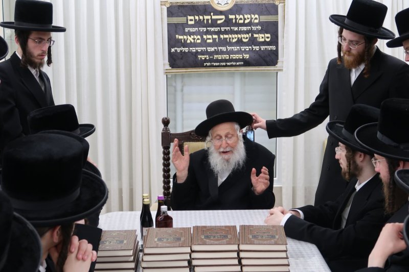 מ. שיין