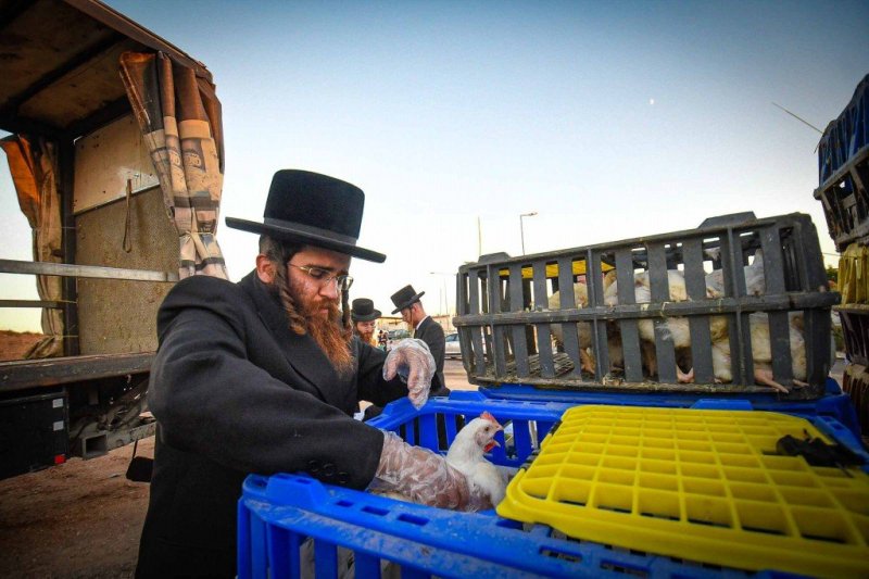 ארי קופרשטוק