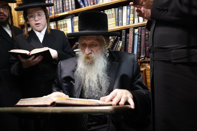 דוד כהן