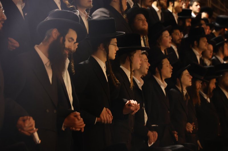נתי אמרגי