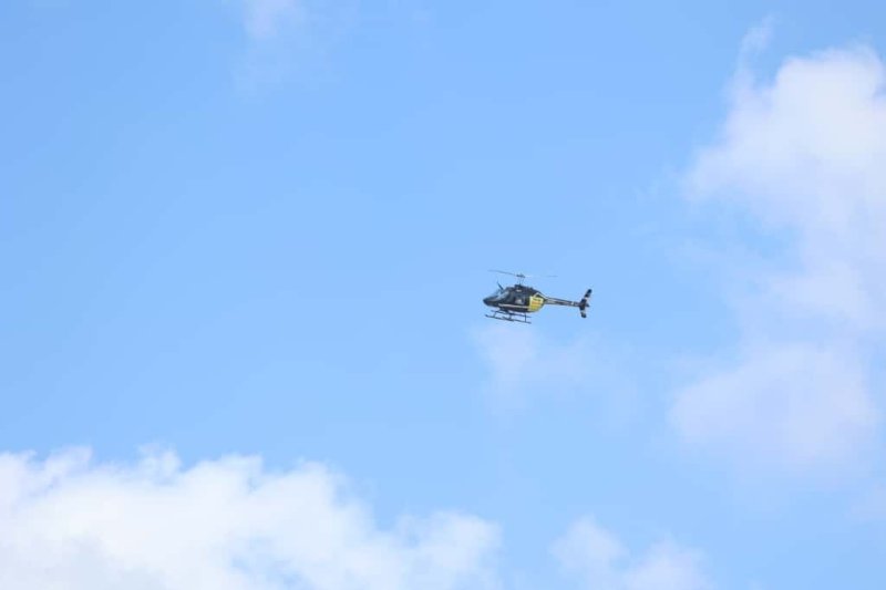 שמוליק קורלנסקי