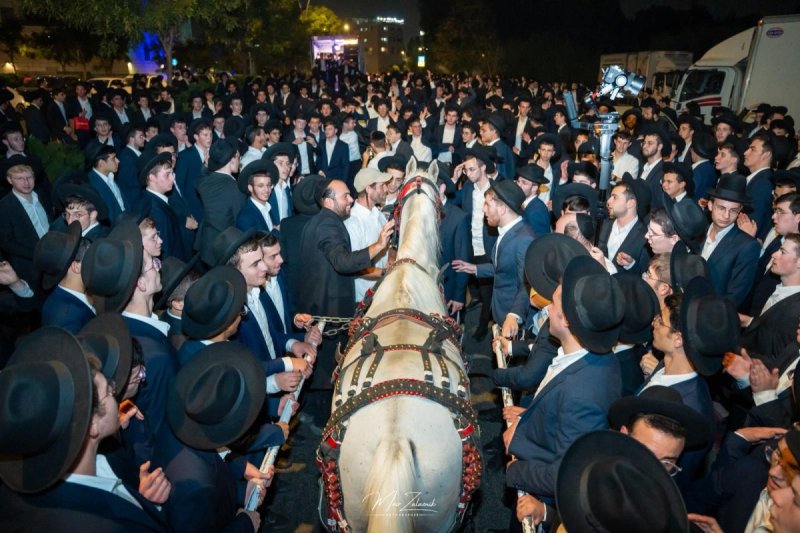 מאיר זלזניק