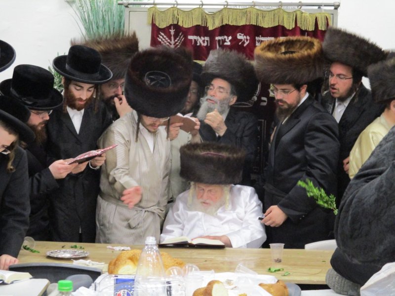 באדיבות המצלם