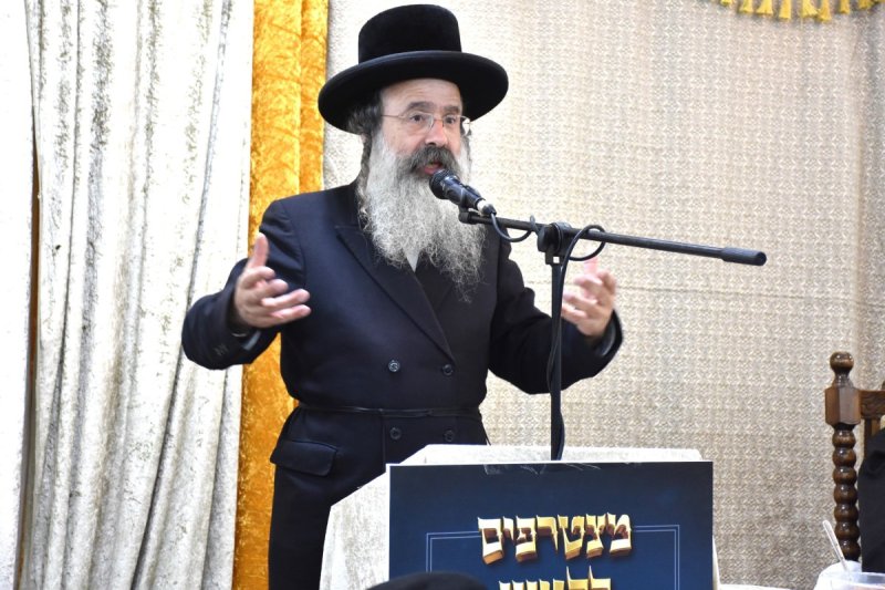 יהודה פרקוביץ