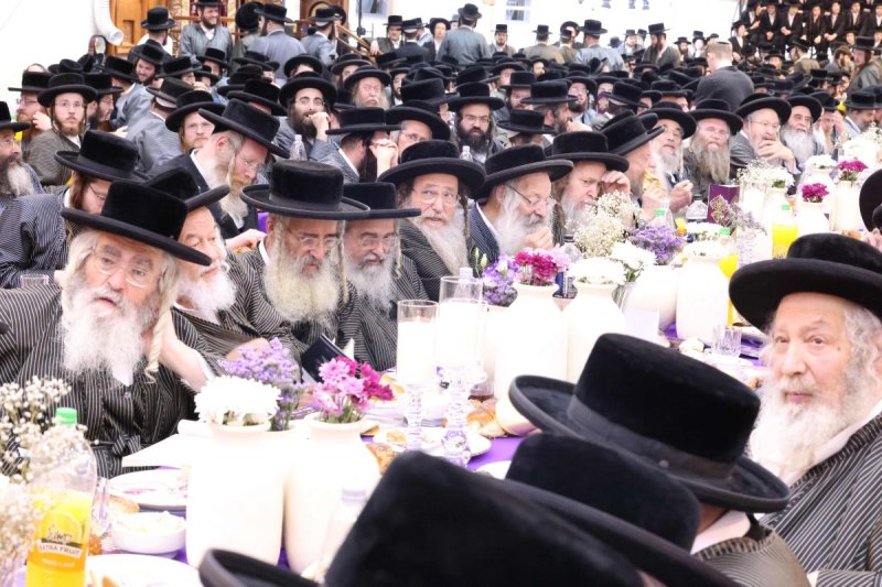 שמואל דריי