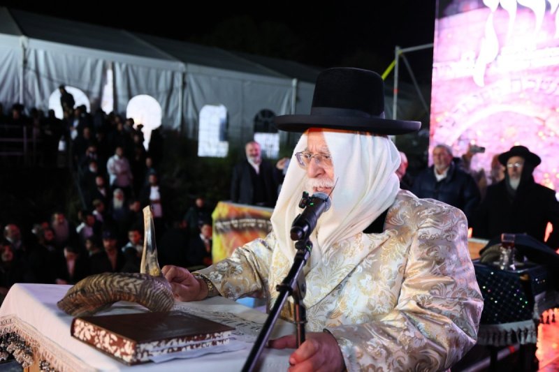 ים לביא