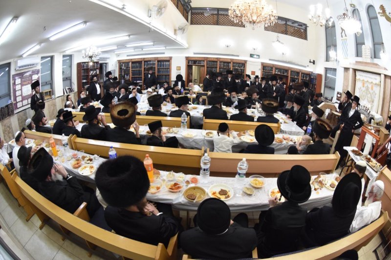 יהודה פרקוביץ