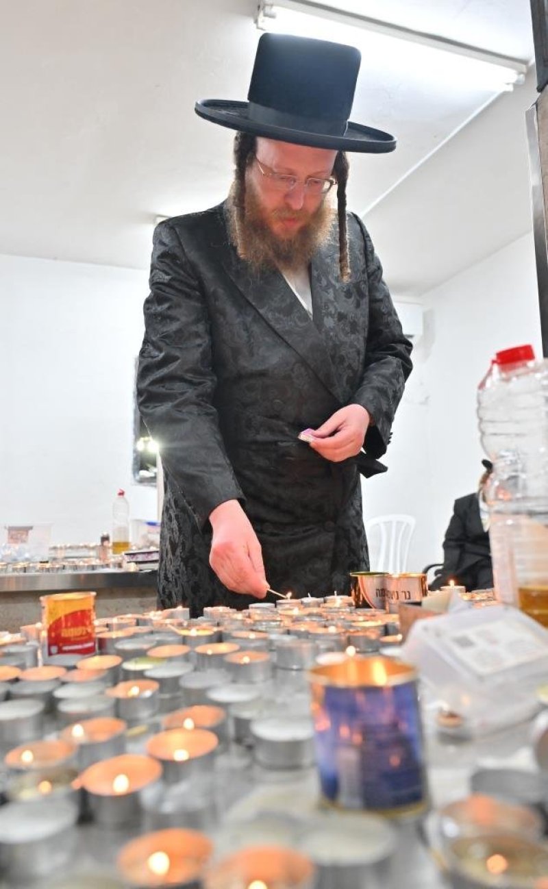 יהושע פרוכטר