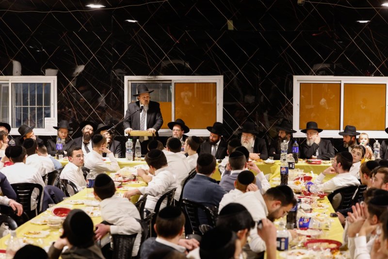 שמוליק קורלנסקי