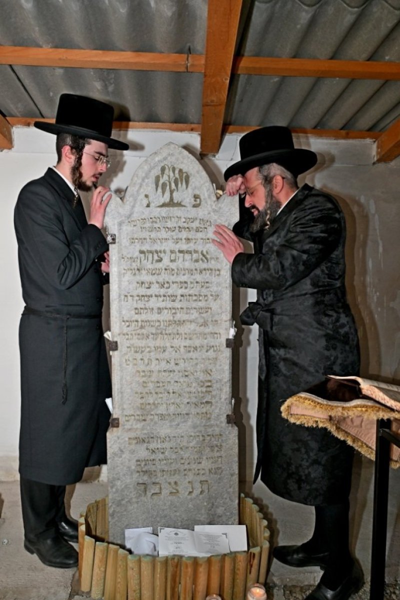 יהושע פרוכטר