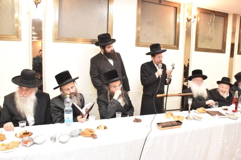 יהודה פרקוביץ