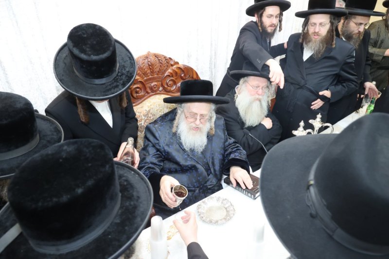 שלומי טריכטר