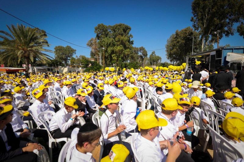 דניאל נפוסי