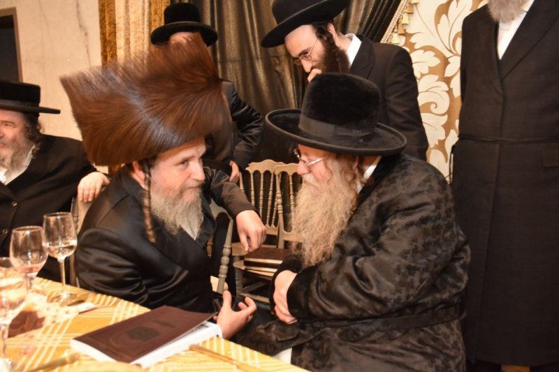 יהודה פרקוביץ