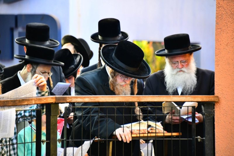 שוקי לרר