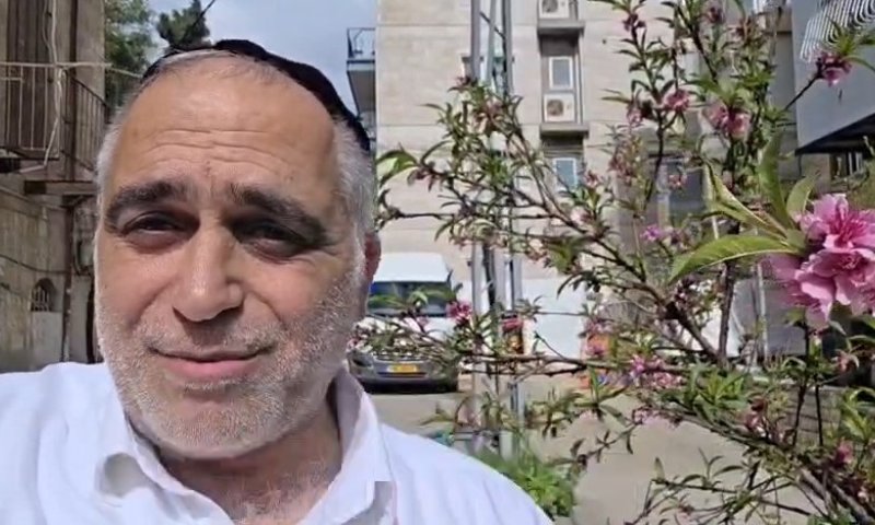 למה אתם מחכים? צאו לברך: נקודה נגישה לברכת האילנות בלב ירושלים