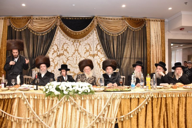 יהודה פרקוביץ