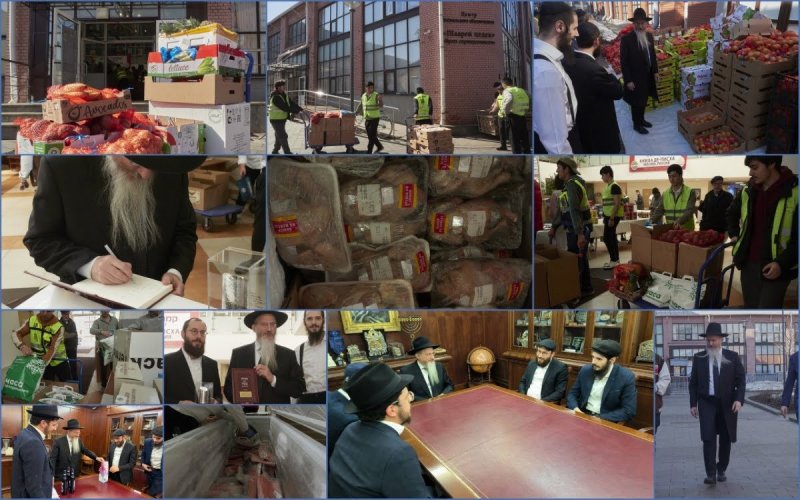 וויטאלי רוצינצוב