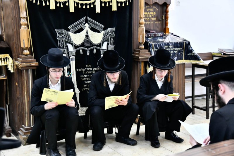 שוקי לרר