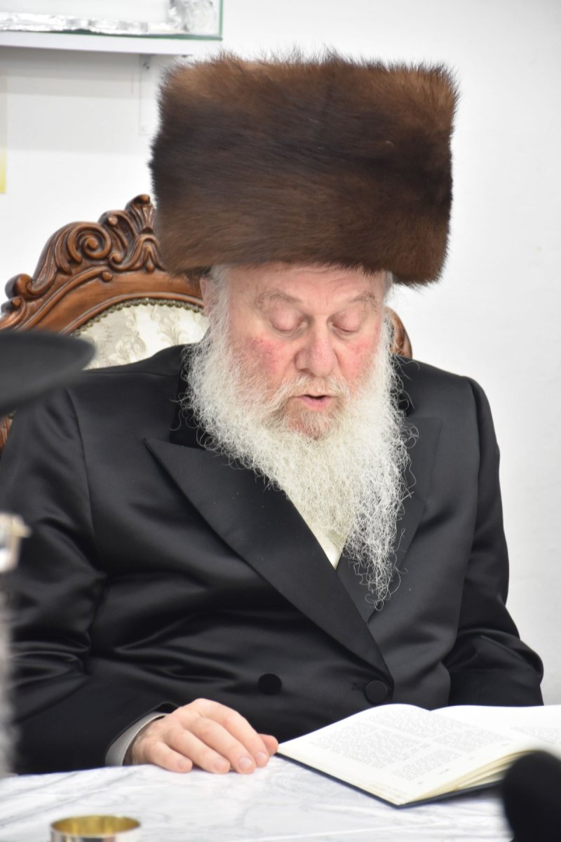 יהודה פרקוביץ