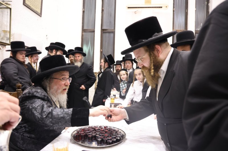 נתי אמרגי